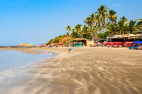 Goa Calling: Stay at Baga Marina Beach Resort